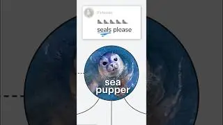 #seals explained