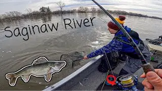 Jigging for GIANT Walleyes in Saginaw River - BEST DAY EVER