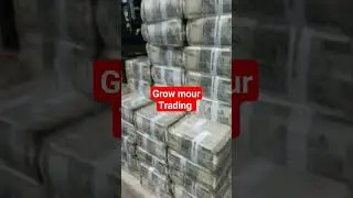 trading life #shortvideoviral #profit #trading #stockmarket #ytshorts #trendingshorts #funding #loss