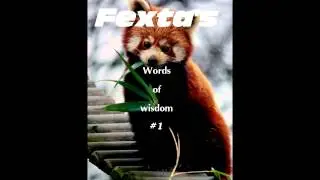 [Fexta's]  Words of Wisdom #1