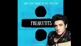 FreakyTits- BTWNUS, Ed Sheeran Perfect / Elvis Can't Help Falling In Love (Mashup Cover)🖤