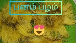 பனம்பழம் சுடுவது எப்படி #how to toast the palm fruit #பனம்பழ் #palmfuits #healthy and natural food