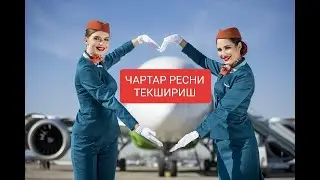 ЧОРТАР ЧЕСНИ ТЕКШИРИШ ТЕФ ОРКАЛИ