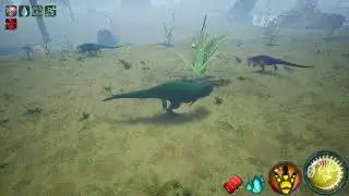 Solo Rex Vs Big Megs | Beasts Of Bermuda