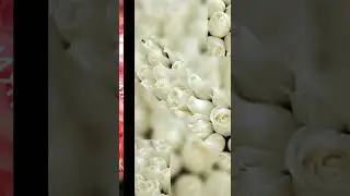 С Днём рождения, Ирина!