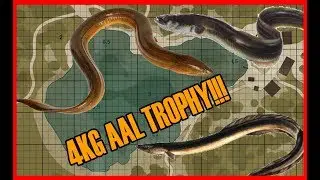 Trophy 4KG AAL GEFANGEN | • Russian Fishing 4 [Deutsch]