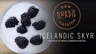 Make Skyr: the Yogurt of Iceland