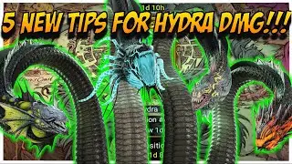 Get Your SS & Prot!!! 5 NEW Tips for Hydra DMG | Raid: Shadow Legends