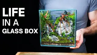 Creating a Mini World In a Glass Box - Nano Cube Terrarium Build
