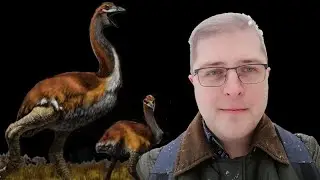 Planeta ant delno #15: ką apie evoliuciją pasakoja kiaušiniai ir vandenynas, dvelkiantis puvėsiais
