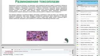 Очищение организма от трихомонады. Лечение без лекарств