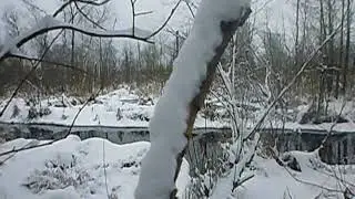 Лесная сказка.