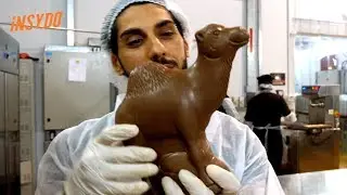 Inside the World's First Camel Milk Chocolate Factory