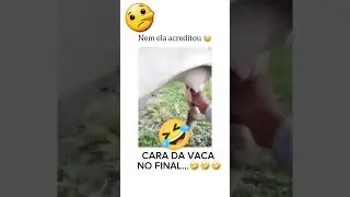 como e amigo #memes #shortvideo