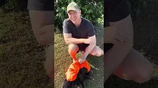 Ozzie Reviews Backpacks!!!