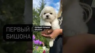 Знаешь кому отправить 😉?