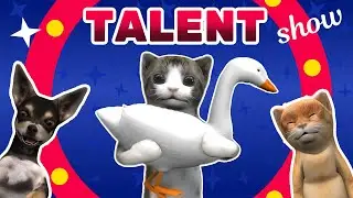 Сat's got talent