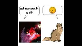 ||кленовница и яблочник|| #котывоители #рекомендации #лавандакв #реки #рек #тренды