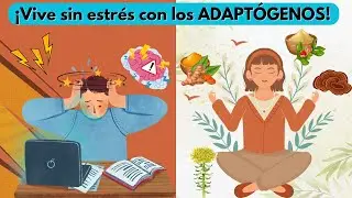 ¡Vive sin estrés con los ADAPTÓGENOS! #rhodiolarosea #ashwagandha #hongoreishi #cúrcuma