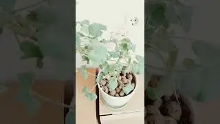 СДЕЛАЙТЕ УЖЕ СЕЙЧАС‼️