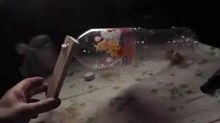 Мышеловка из полторашки ,мой вариант.