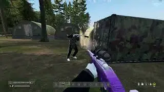 DayZ PVP