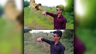 Keep Bird on My hand Effect By CS6/photoshop tutorial