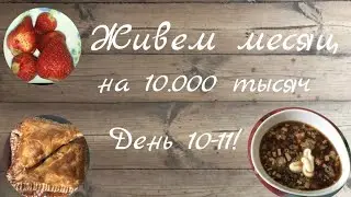 Живём месяца на 10000₽. День 10-11.