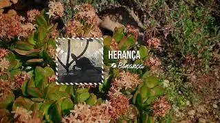 Drai - Herança