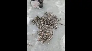ПЕРВЫЙ ЛЕД!!! часть два 