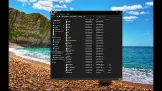 Onde fica a pasta do Whatsapp? , como encontrar arquivos do Whatsapp no Windows (2024 Atualizado)
