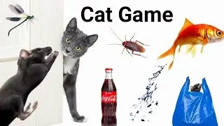 Realistic Moving Objects — Cat TV for Indoor Cats