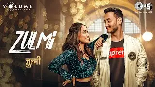 Zulmi - New Punjabi Song | Nikhil Bisht | Aashi Sharma | Punjabi Romantic Song | Punjabi Love Song