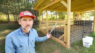 Bringing New Farm Animals Home