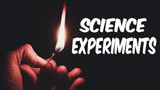 11 Simple Science Experiments and EASY SCHOOL MAGIC TRICKS  Simple Science Project Work