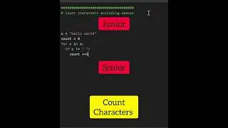 How to become a senior programmer 