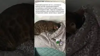 Счастливое детство.