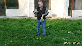 инфузия и сироп от цвят на глухарче