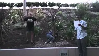 photosynthesis
