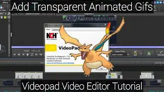 How to Add Animated Gifs: VideoPad Video Editor Tutorial