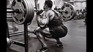 Научись правильно приседать! Разбор техники приседаний. Спорт-челлендж
