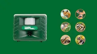 Pest Repeller Yard Sentinel