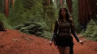 Redwood Wayfarer – Epic Wanderer Fantasy Music
