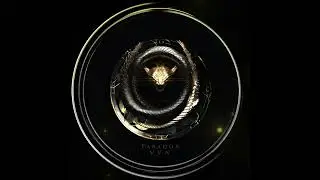 VVN - Paradox