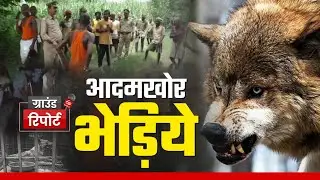 Wolves Terror: Bahraich में आदमखोर भेड़ियों का आतंक; अब तक 9 लोगों का किया शिकार, दहशत में 35 गांव