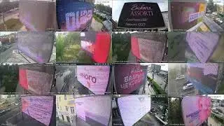 amedia отчеты
