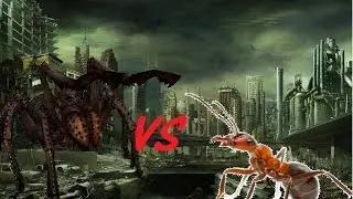Spider vs Ant  | Bug Fights | Insect Fights | Insect Wars
