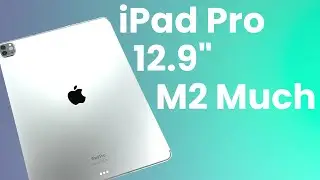 iPad Pro 12.9 (6th Gen) Review! (Real World Review)