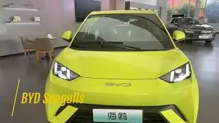 BYD Seagull EV Car 2023 #byd  #evcars #bydcar
