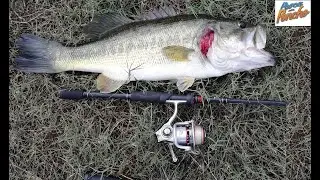 PESCA de LOBINA INCREIBLE - PESCA DE ORILLA Ep. 9